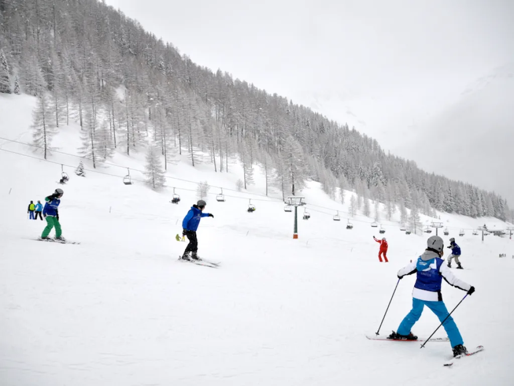 Drei Skifahrende auf der Piste vor verschneiten Bäumen.